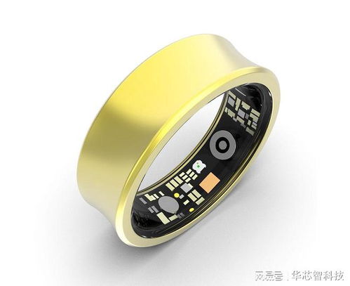 智能健康监测戒指选购指南 专业品牌深度解析